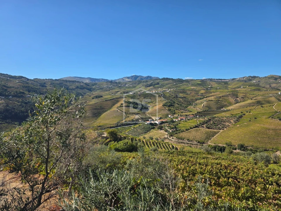 Quinta T0 para Venda em Lobrigos (São Miguel e São João Baptista) e Sanhoane Foto 3