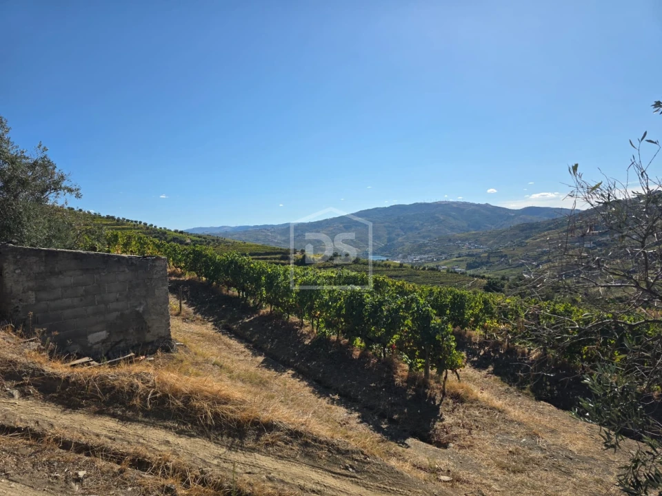 Quinta T0 para Venda em Lobrigos (São Miguel e São João Baptista) e Sanhoane Foto 1
