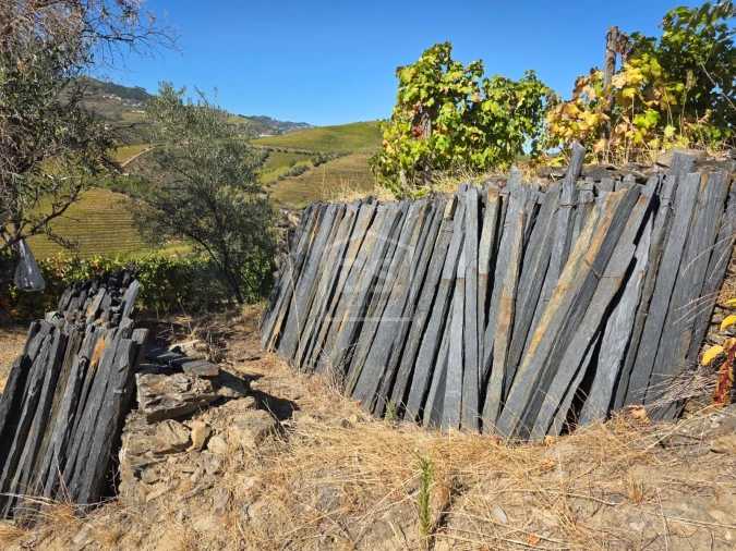 Quinta T0 para Venda em Lobrigos (São Miguel e São João Baptista) e Sanhoane Foto 12
