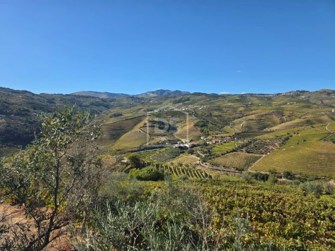 Quinta T0 para Venda em Lobrigos (São Miguel e São João Baptista) e Sanhoane Foto 3