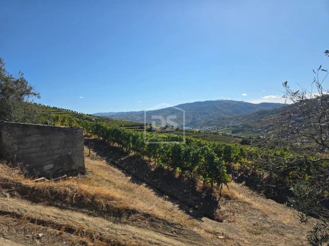 Quinta T0 para Venda em Lobrigos (São Miguel e São João Baptista) e Sanhoane Foto 1