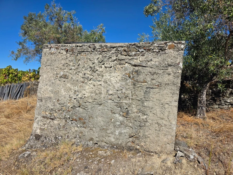Quinta T0 para Venda em Lobrigos (São Miguel e São João Baptista) e Sanhoane Foto 13
