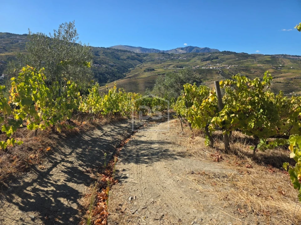 Quinta T0 para Venda em Lobrigos (São Miguel e São João Baptista) e Sanhoane Foto 16