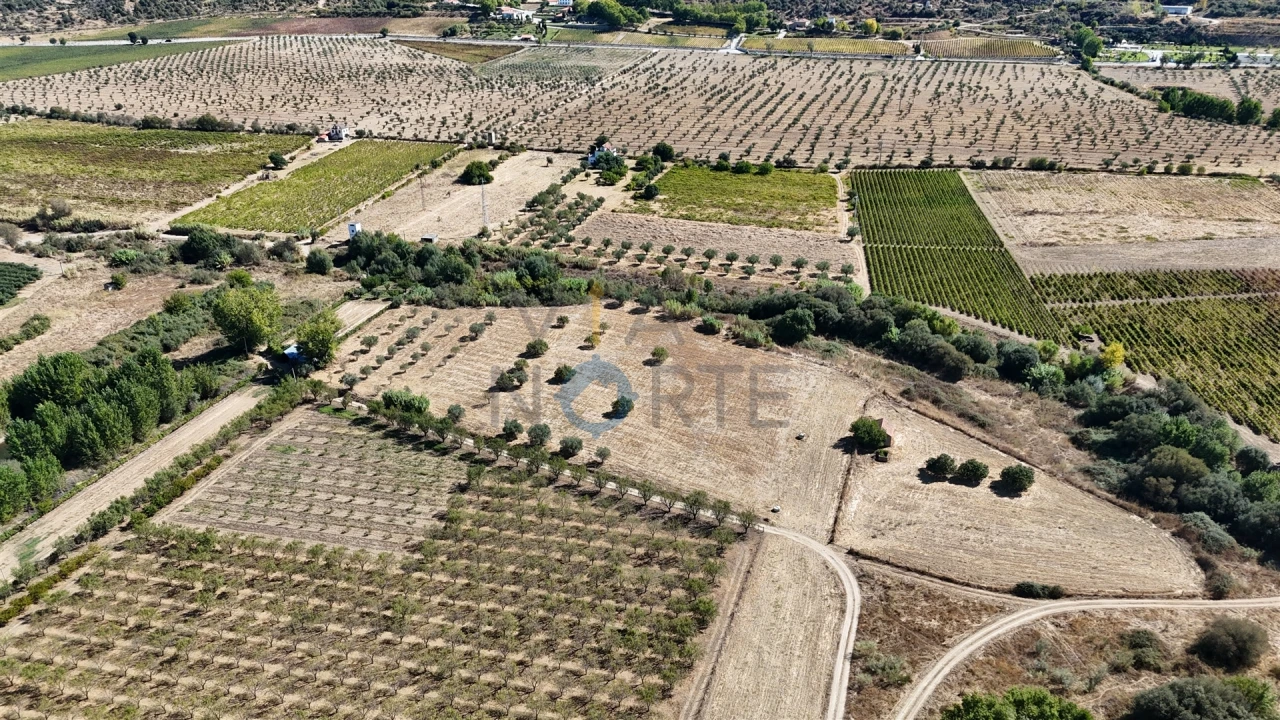 Terreno Agricola ou Rústico para Venda em Horta da Vilariça Foto 6