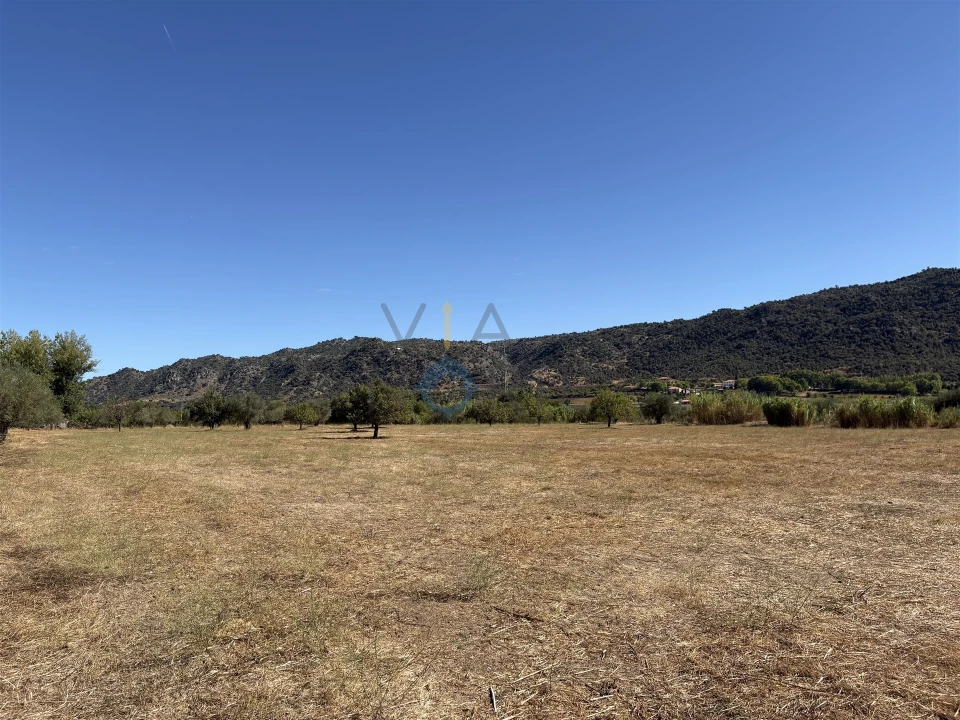 Terreno Agricola ou Rústico para Venda em Horta da Vilariça Foto 14