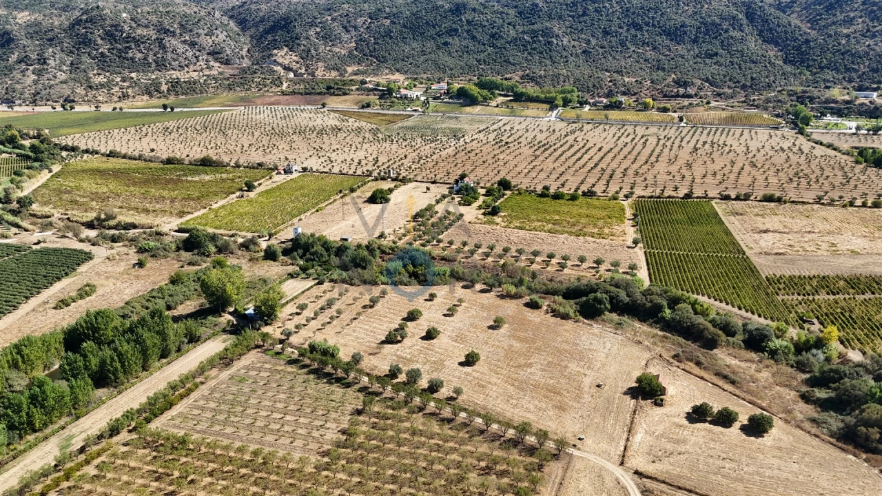 Terreno Agricola ou Rústico para Venda em Horta da Vilariça Foto 2