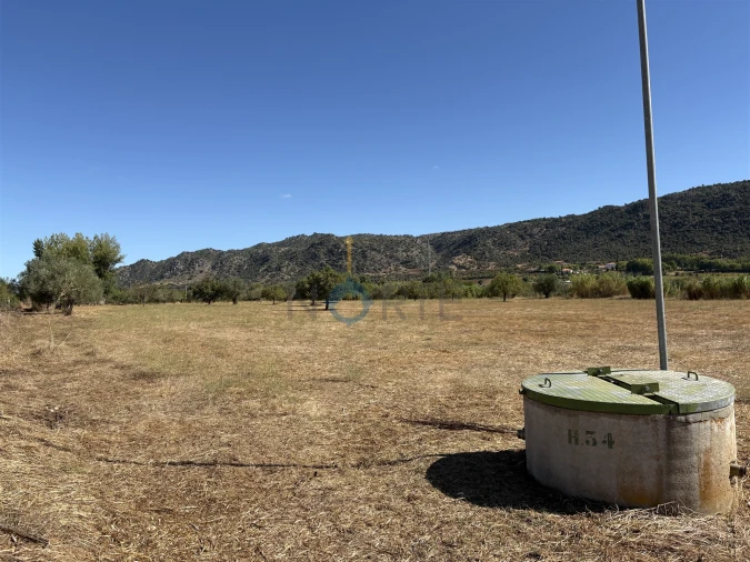 Terreno Agricola ou Rústico para Venda em Horta da Vilariça Foto 12