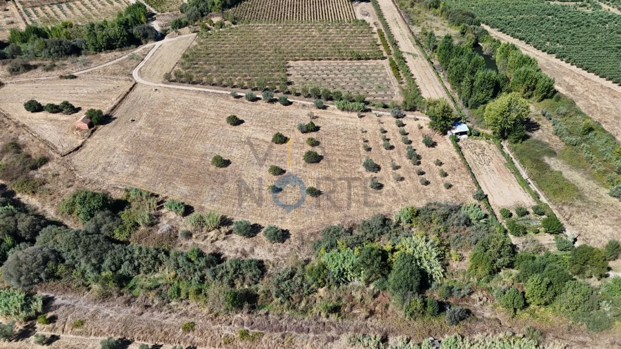 Terreno Agricola ou Rústico para Venda em Horta da Vilariça Foto 4