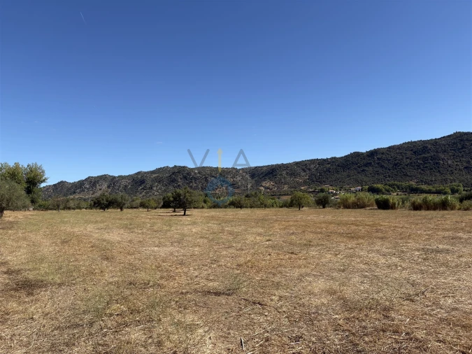 Terreno Agricola ou Rústico para Venda em Horta da Vilariça Foto 14