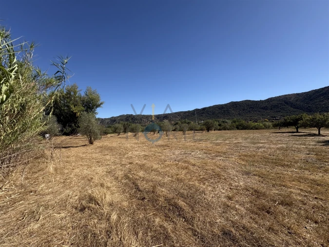 Terreno Agricola ou Rústico para Venda em Horta da Vilariça Foto 10