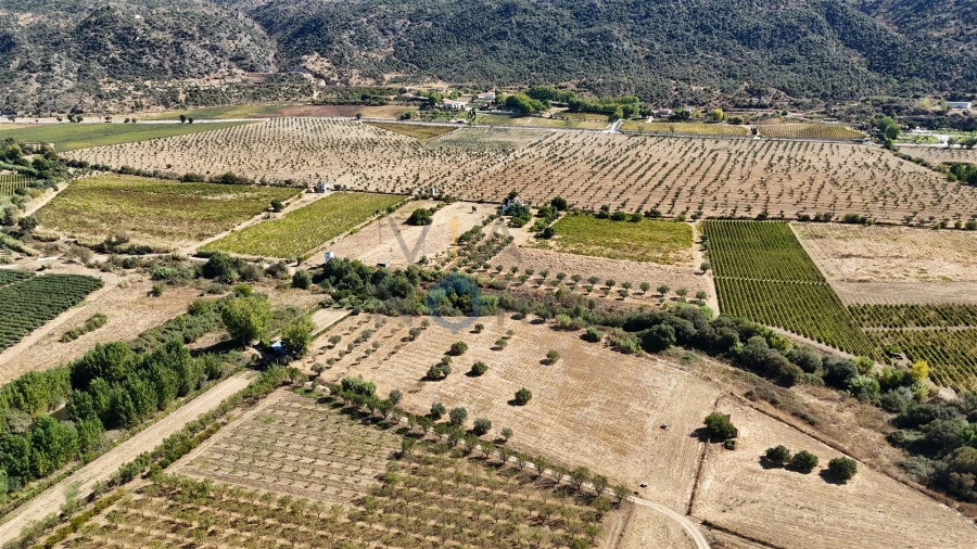 Terreno Agricola ou Rústico para Venda em Horta da Vilariça Foto 2
