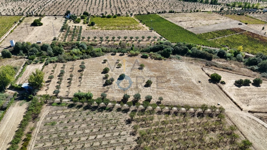 Terreno Agricola ou Rústico para Venda em Horta da Vilariça Foto 7