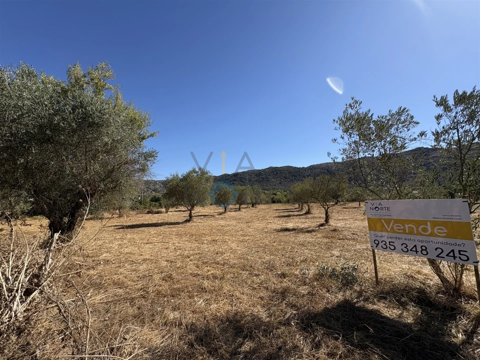 Terreno Agricola ou Rústico para Venda em Horta da Vilariça Foto 11