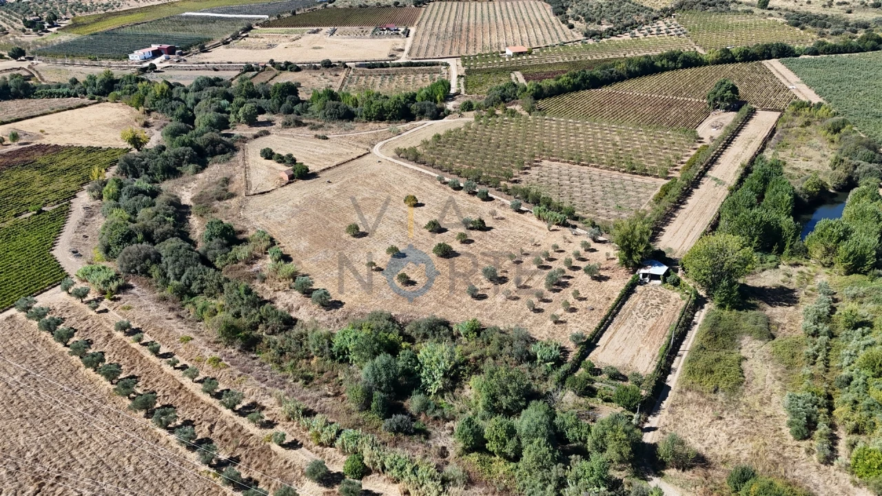Terreno Agricola ou Rústico para Venda em Horta da Vilariça Foto 5