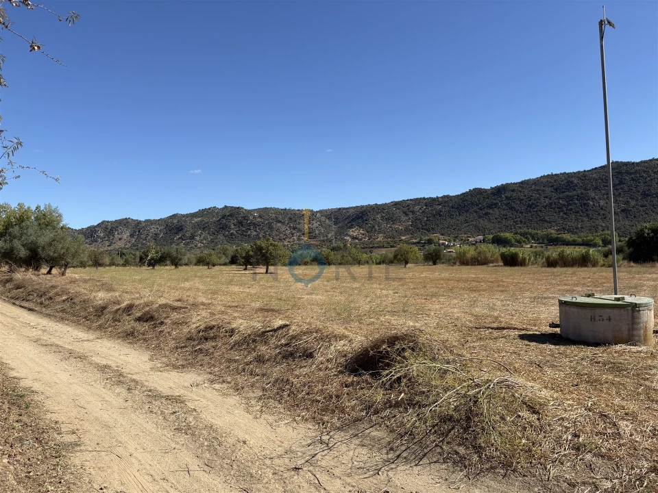 Terreno Agricola ou Rústico para Venda em Horta da Vilariça Foto 13