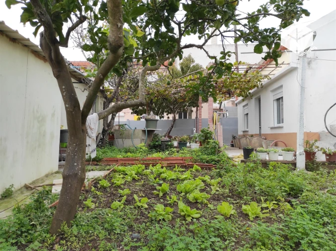 Moradia T3 para Venda em Buarcos Foto 23