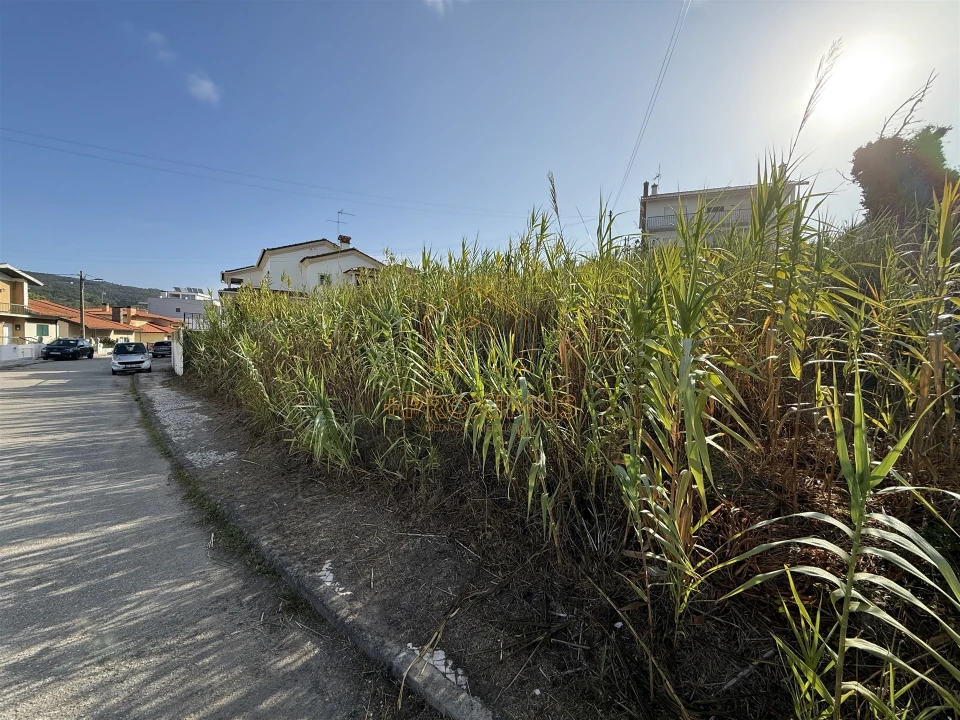 Terreno para Venda em Buarcos Foto 6