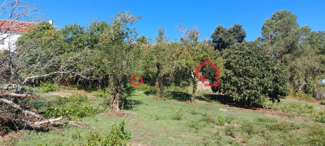 Moradia T3 para Venda em Santa Catarina da Serra e Chainça Foto 10