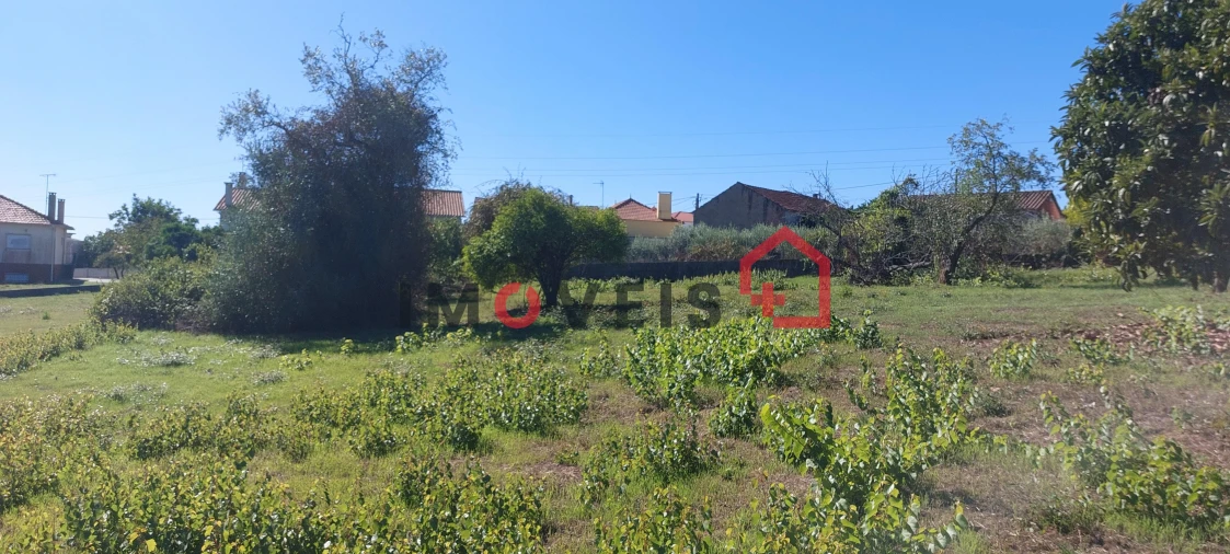 Moradia T3 para Venda em Santa Catarina da Serra e Chainça Foto 8