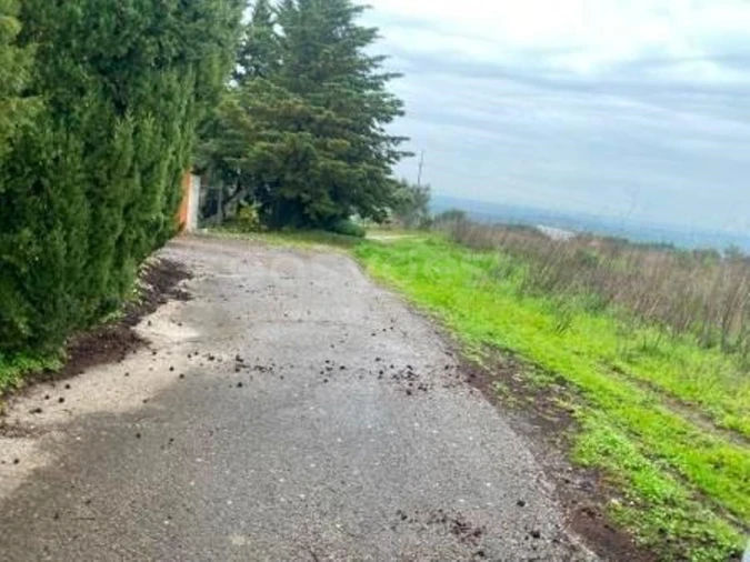 Terreno Misto para Venda em São Vicente do Paul e Vale de Figueira Foto 2