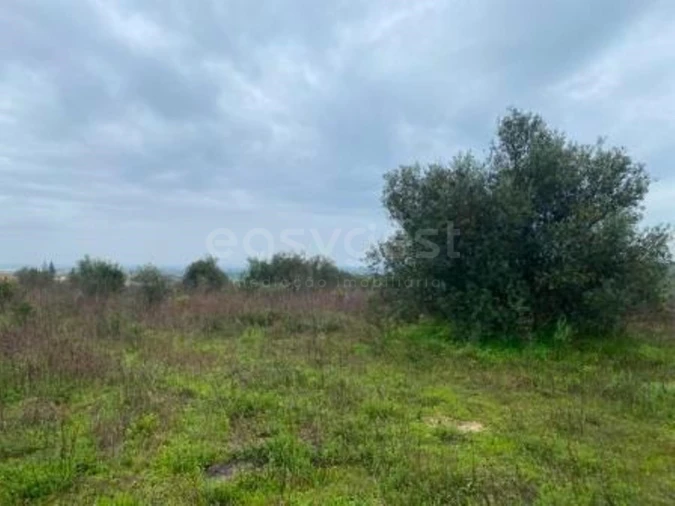 Terreno Misto para Venda em São Vicente do Paul e Vale de Figueira Foto 3