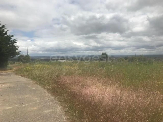 Terreno Misto para Venda em São Vicente do Paul e Vale de Figueira Foto 4