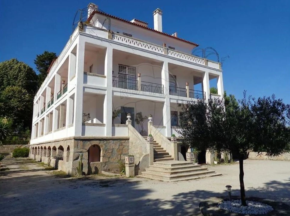 Negócio para Venda em Abrunhosa-A-Velha Foto 5