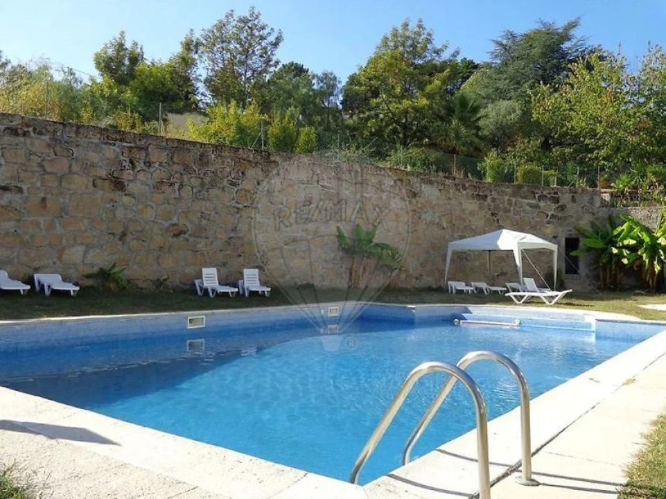 Negócio para Venda em Abrunhosa-A-Velha Foto 11