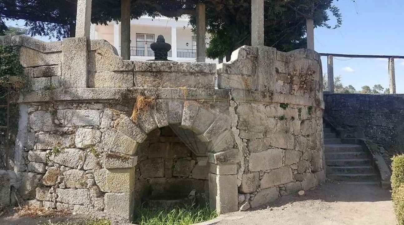 Negócio para Venda em Abrunhosa-A-Velha Foto 17