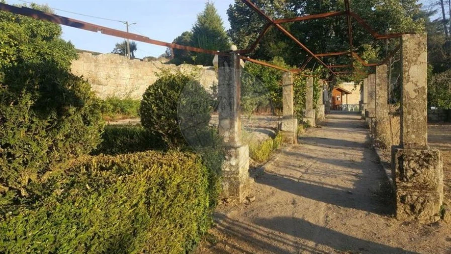 Negócio para Venda em Abrunhosa-A-Velha Foto 18