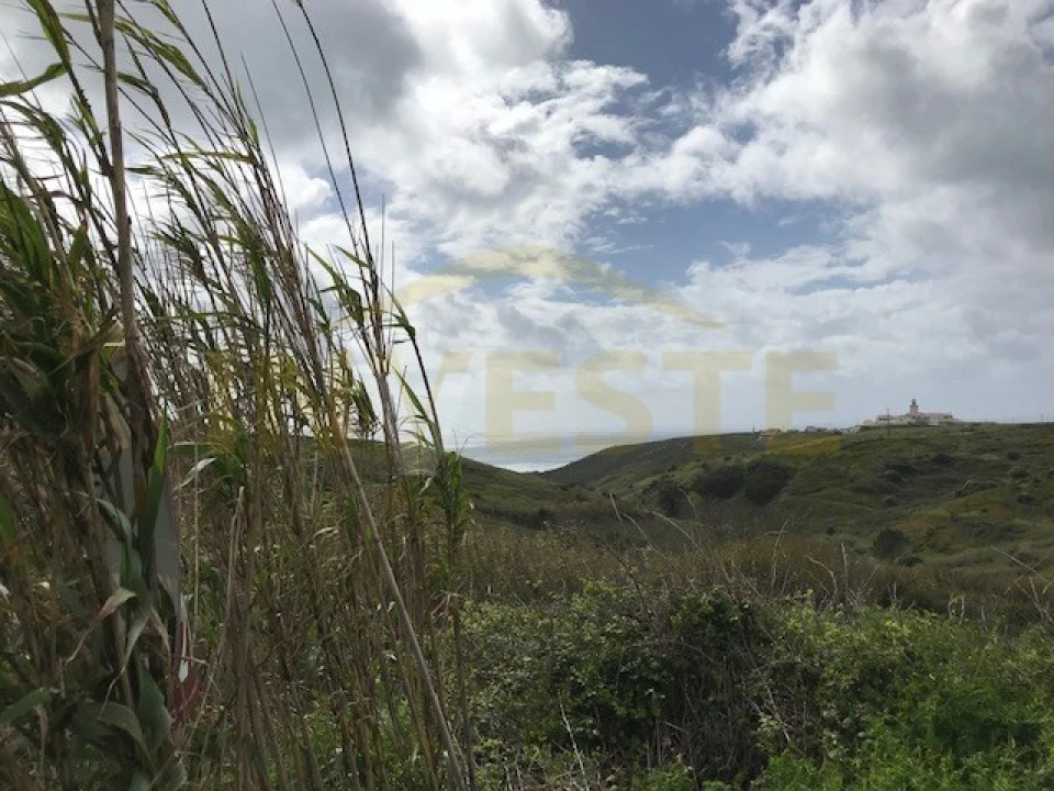 Terreno para Venda em Colares Foto 2