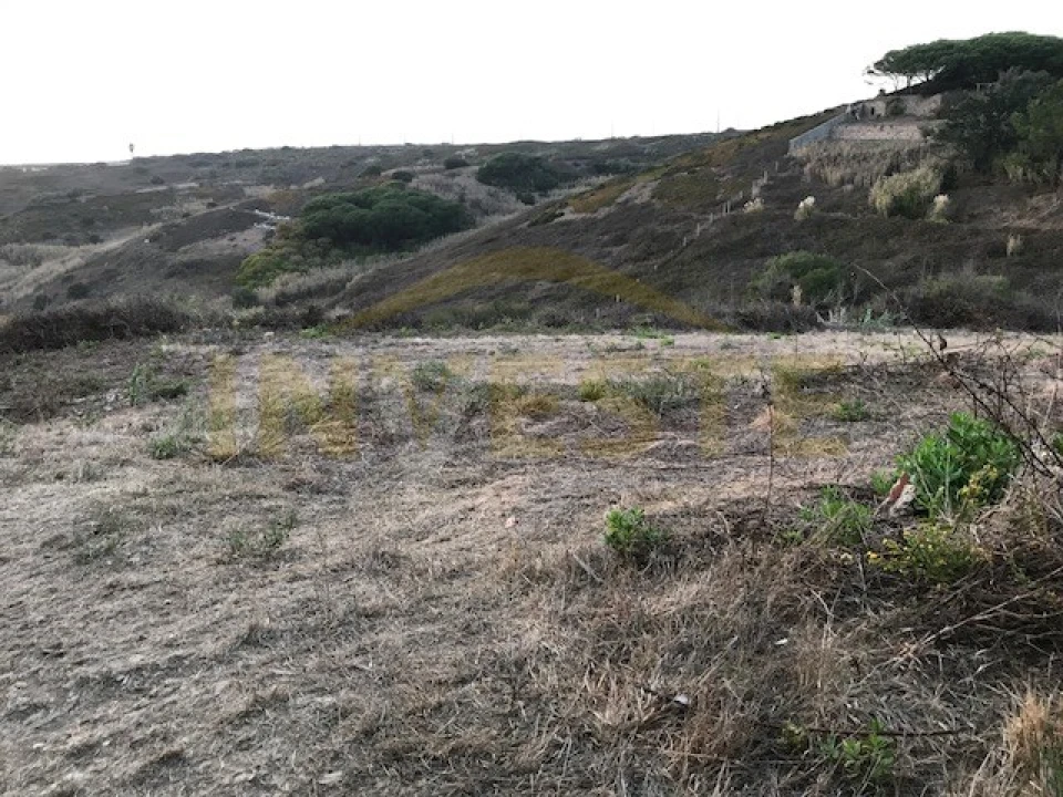 Terreno para Venda em Colares Foto 7