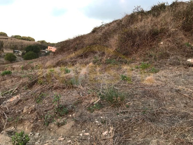 Terreno para Venda em Colares Foto 6
