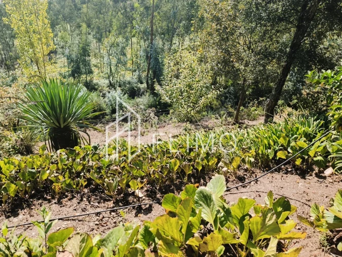 Moradia T5 para Venda em Ossela Foto 44