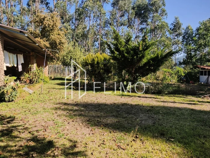 Moradia T5 para Venda em Ossela Foto 51