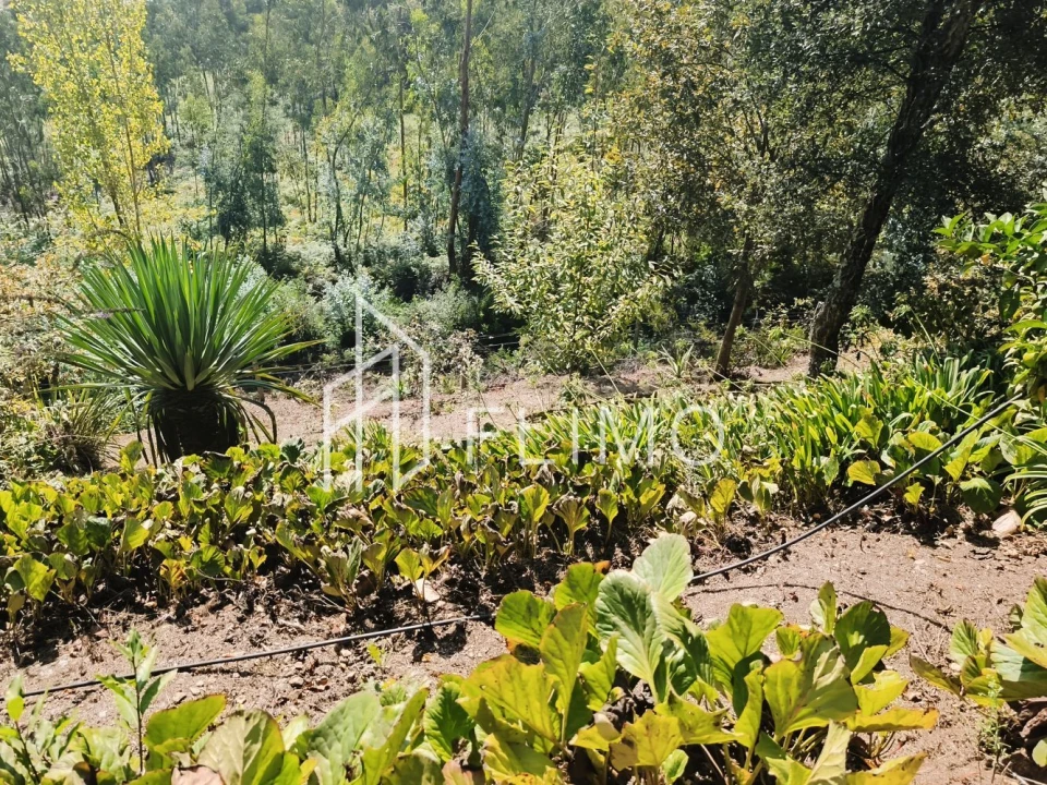 Moradia T5 para Venda em Ossela Foto 41