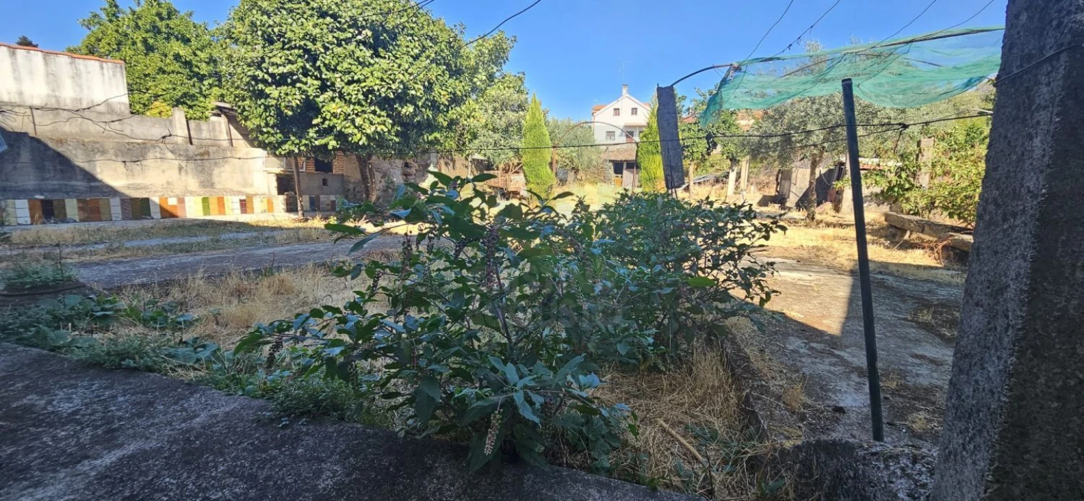 Moradia T6 para Venda em Ninho do Açor e Sobral do Campo Foto 45