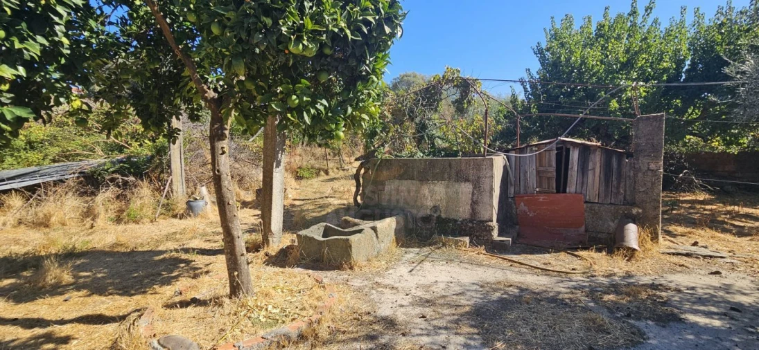 Moradia T6 para Venda em Ninho do Açor e Sobral do Campo Foto 45