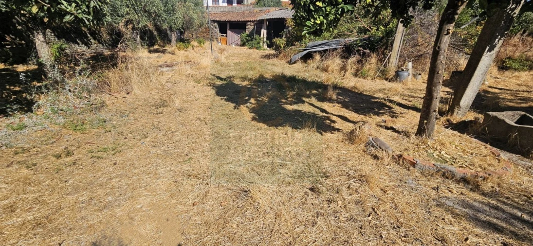 Moradia T6 para Venda em Ninho do Açor e Sobral do Campo Foto 46