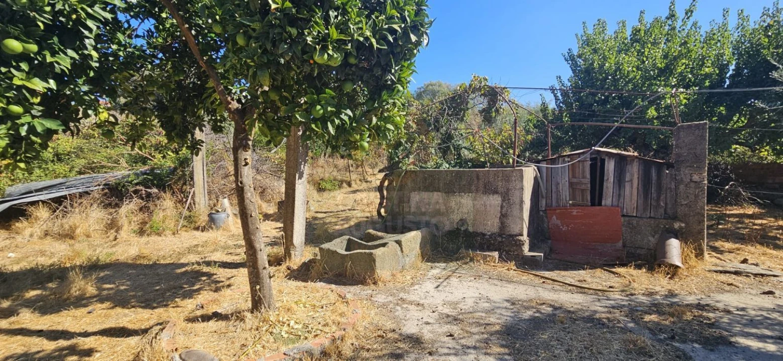 Moradia T6 para Venda em Ninho do Açor e Sobral do Campo Foto 49