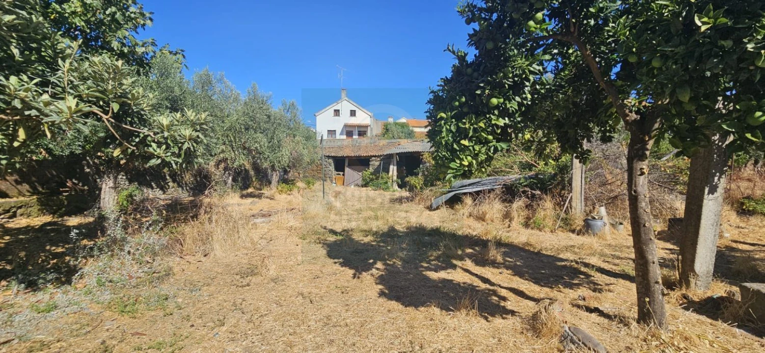 Moradia T6 para Venda em Ninho do Açor e Sobral do Campo Foto 50