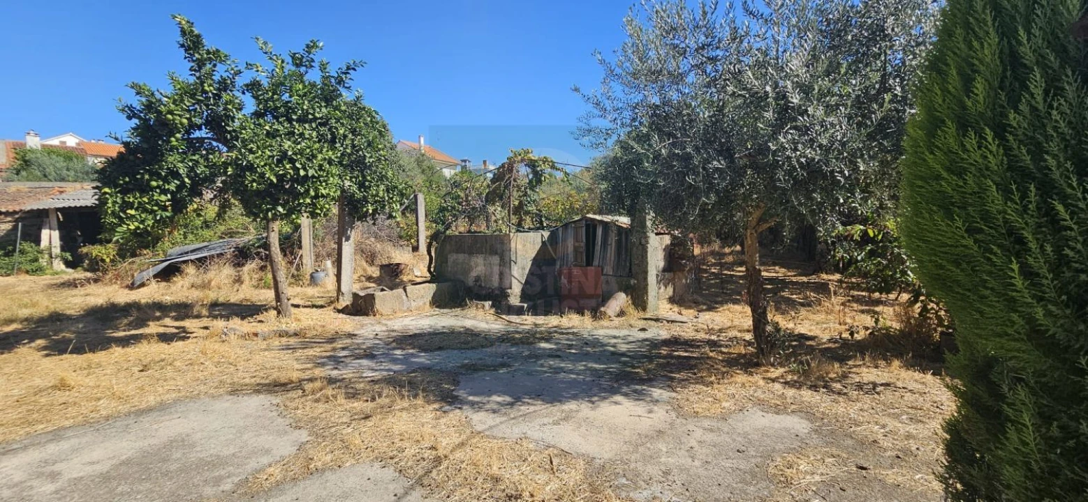 Moradia T6 para Venda em Ninho do Açor e Sobral do Campo Foto 58