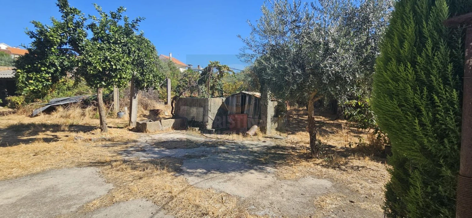 Moradia T6 para Venda em Ninho do Açor e Sobral do Campo Foto 56