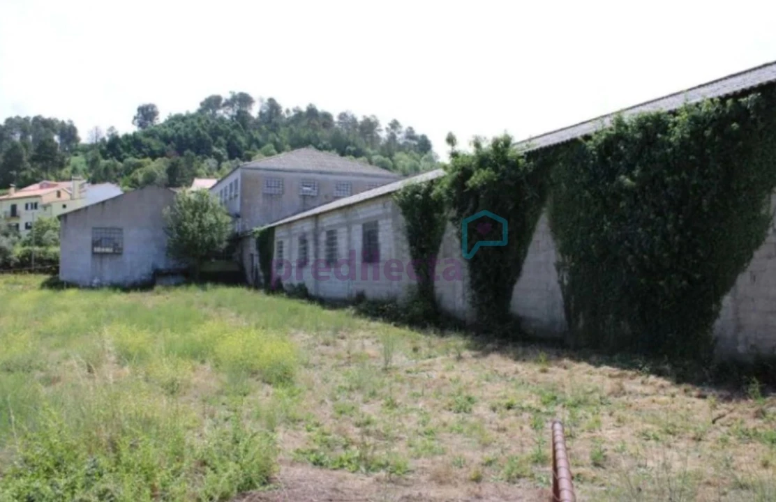 Terreno para Venda em São Paio Foto 3