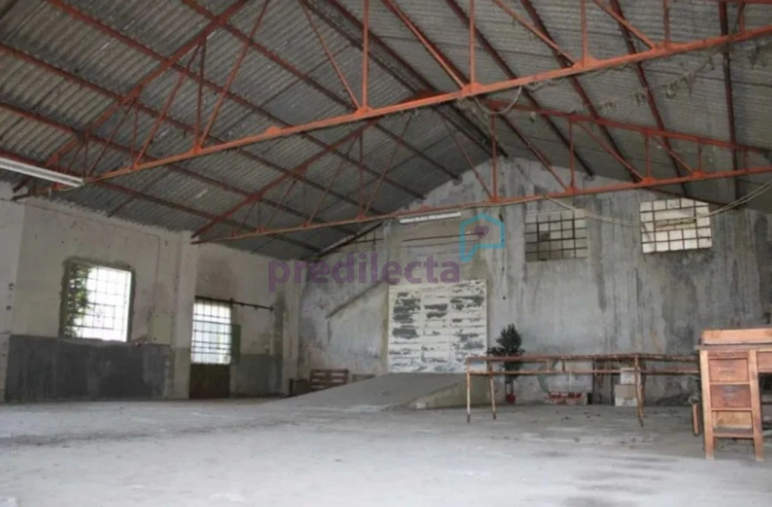 Terreno para Venda em São Paio Foto 5