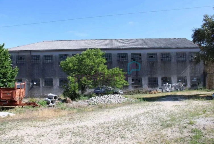 Terreno para Venda em São Paio Foto 2