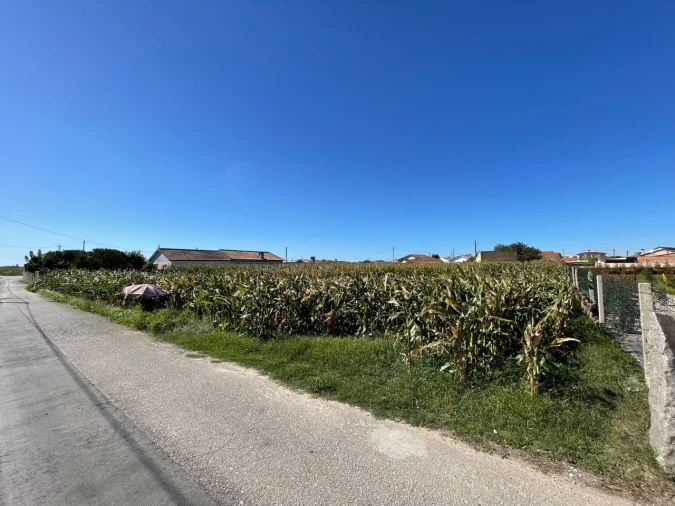 Terreno para Venda em Murtosa