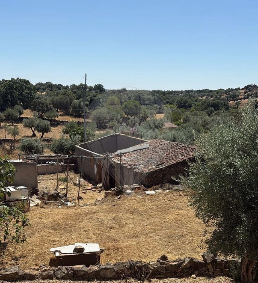 Terreno para Venda em Zebreira e Segura Foto 2