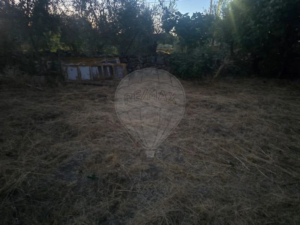 Terreno para Venda em Zebreira e Segura Foto 5