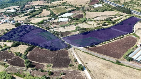 Moradia T2 para Venda em Loures
